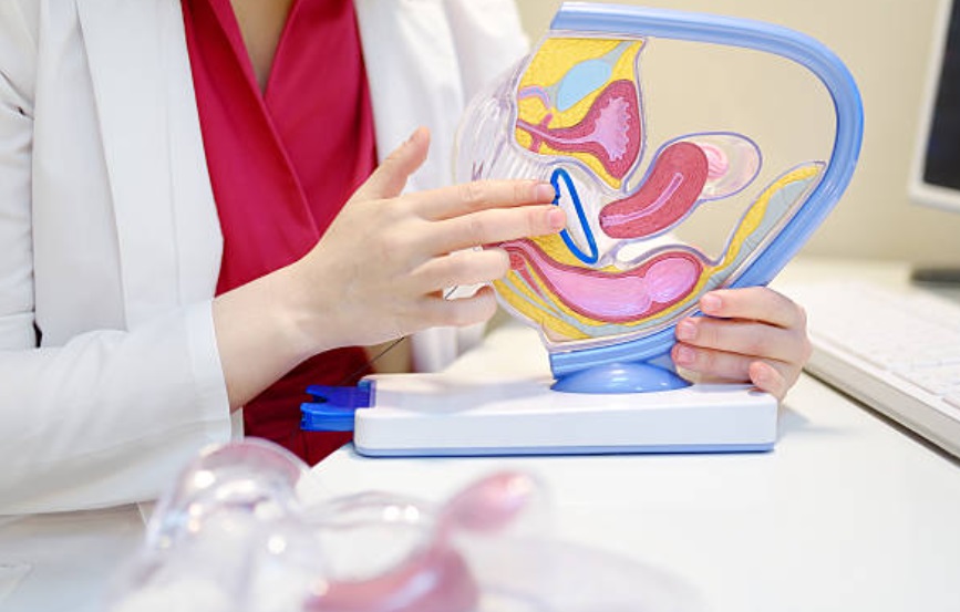 Uroginekologia